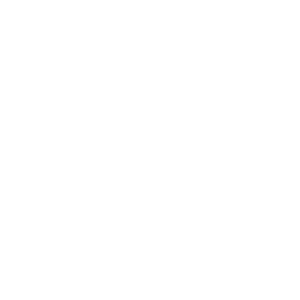 Diaspora Services